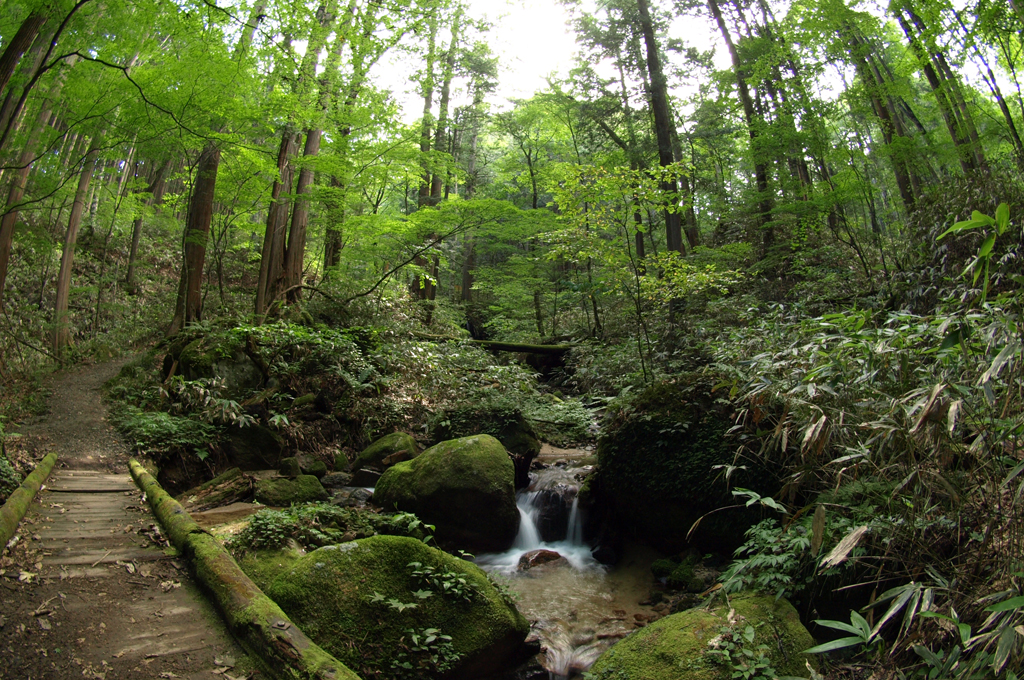 木祖村観光協会
