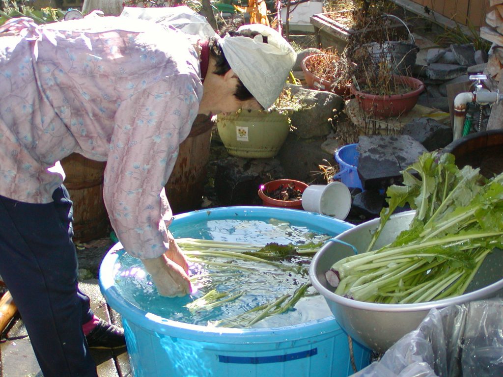 すんきの漬け方